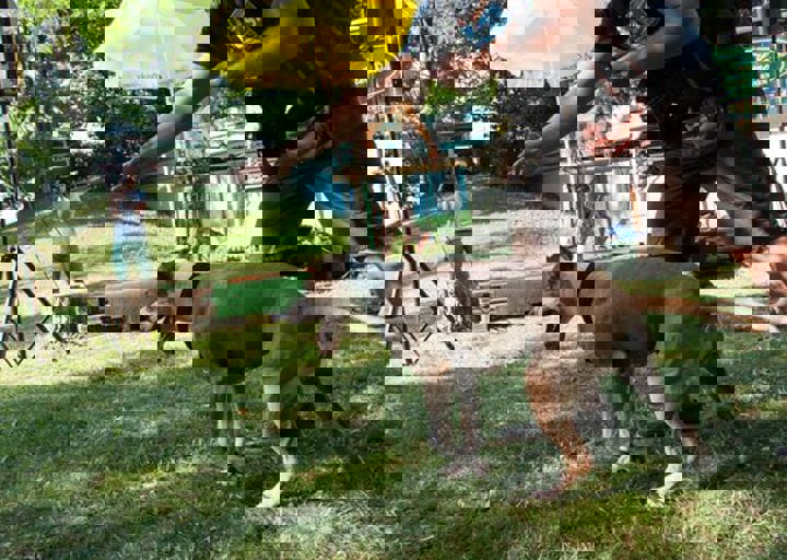 DSC_6233.jpg