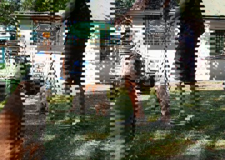 DSC_6246.jpg