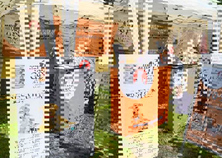 ACA_Sommerfest_09_16_0003.jpg