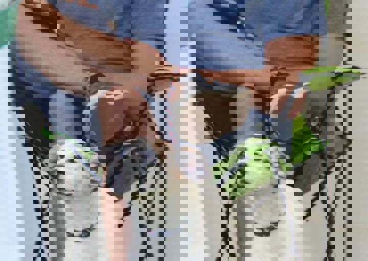 ACA_Sommerfest_09_16_0005.jpg