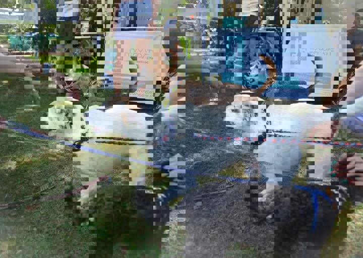 ACA_Sommerfest_09_16_0011.jpg