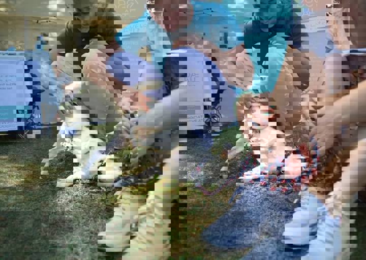 ACA_Sommerfest_09_16_0014.jpg