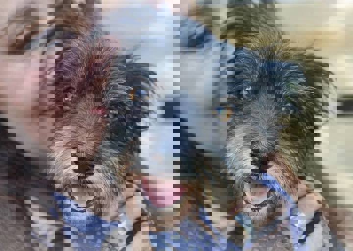ACA_Sommerfest_09_16_0015.jpg
