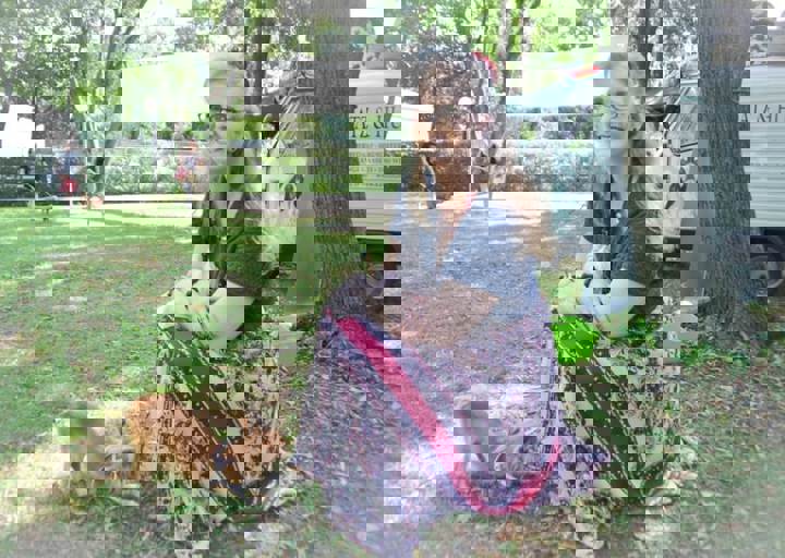 ACA_Sommerfest_09_16_0031.jpg
