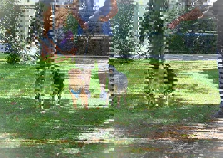 ACA_Sommerfest_09_16_0043.jpg