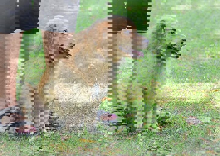 ACA_Sommerfest_09_16_0044.jpg