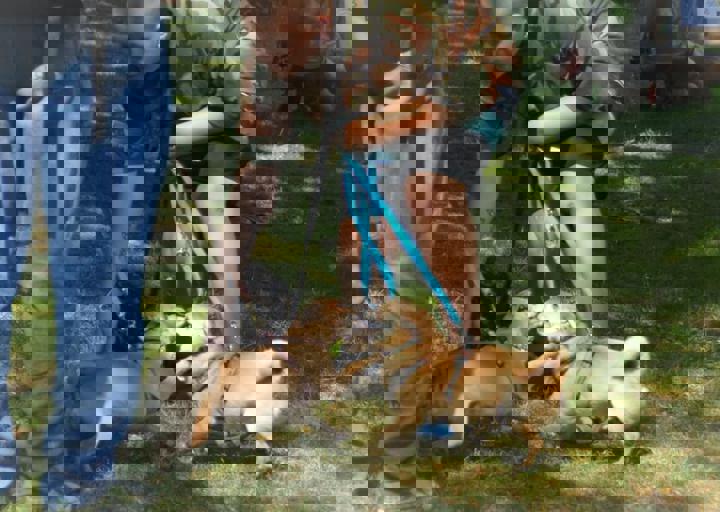ACA_Sommerfest_09_16_0046.jpg