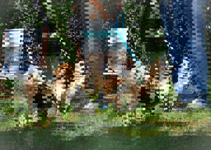 ACA_Sommerfest_09_16_0050.jpg