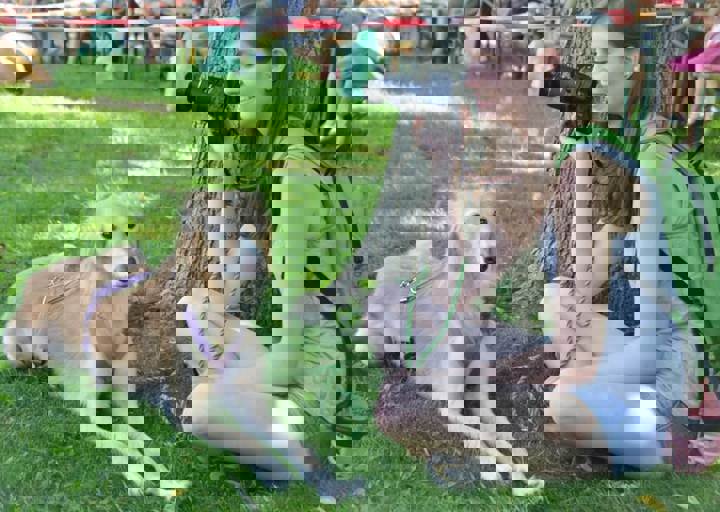 ACA_Sommerfest_09_16_0060.jpg