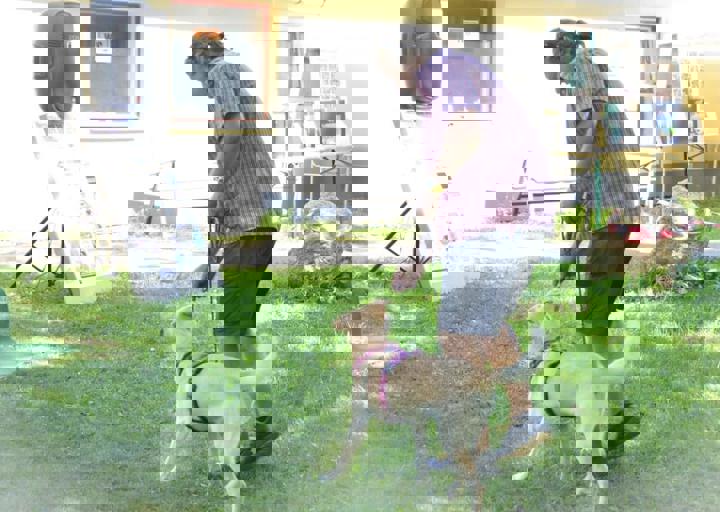 ACA_Sommerfest_09_16_0062.jpg