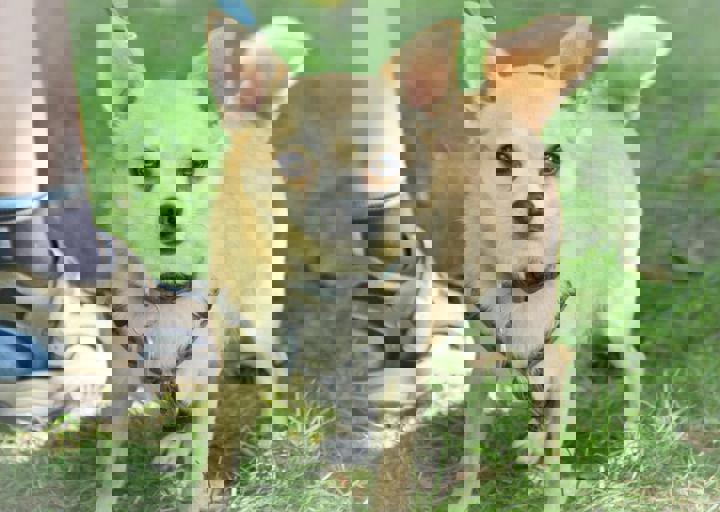 ACA_Sommerfest_09_16_0066.jpg