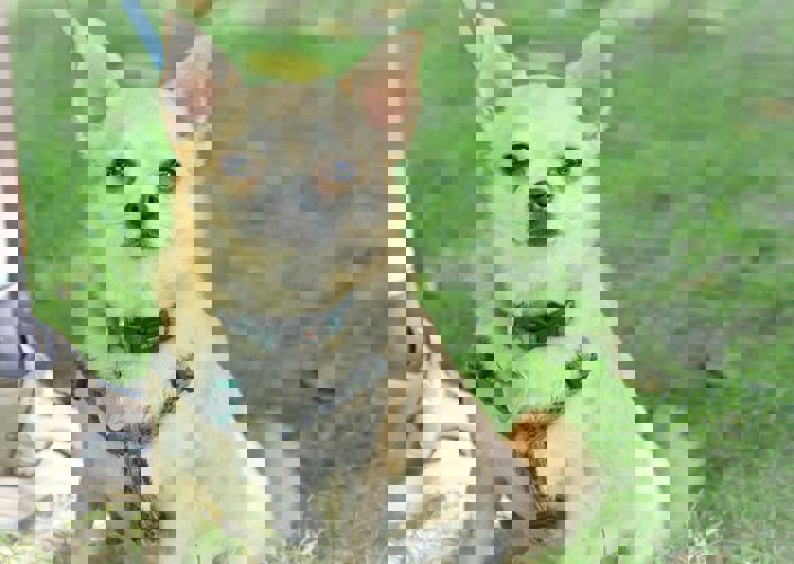 ACA_Sommerfest_09_16_0067.jpg