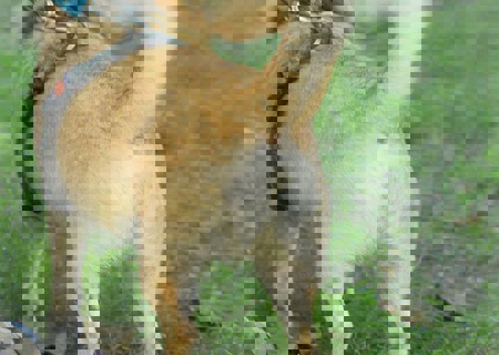 ACA_Sommerfest_09_16_0068.jpg