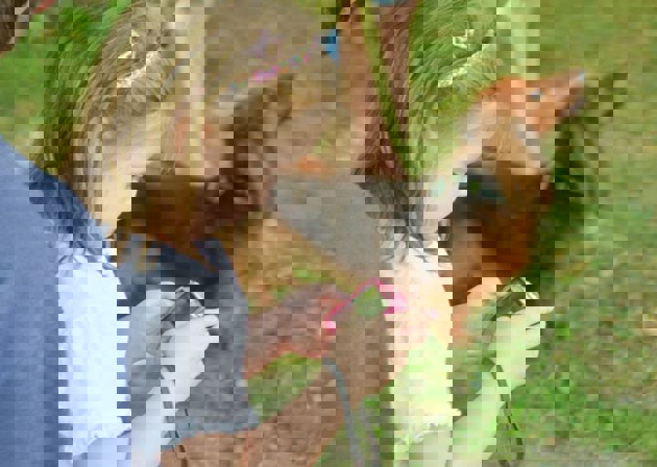 ACA_Sommerfest_09_16_0078.jpg