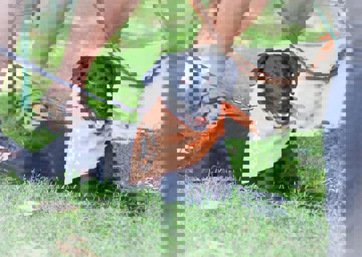 ACA_Sommerfest_09_16_0086.jpg