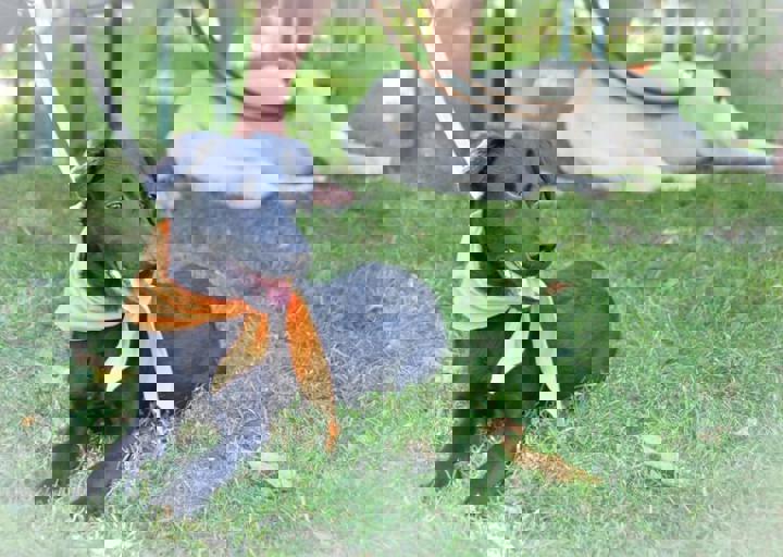 ACA_Sommerfest_09_16_0089.jpg
