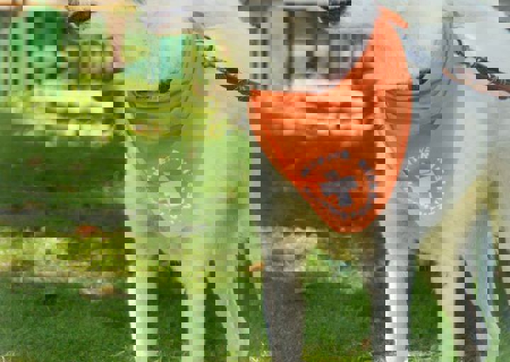 ACA_Sommerfest_09_16_0091.jpg