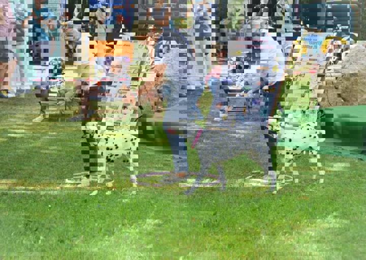ACA_Sommerfest_09_16_0111.jpg