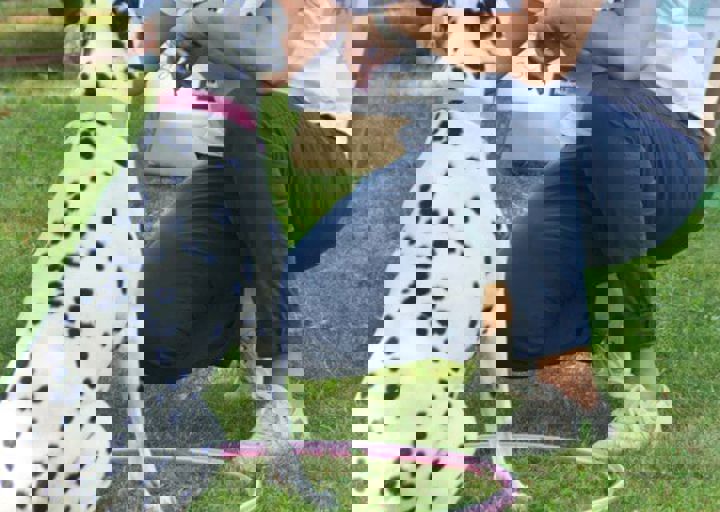 ACA_Sommerfest_09_16_0114.jpg