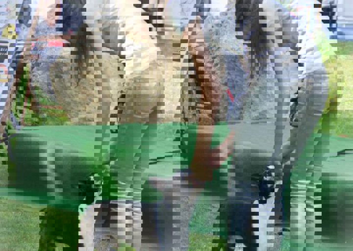 ACA_Sommerfest_09_16_0116.jpg