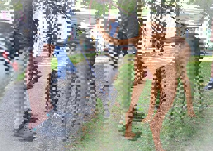 ACA_Sommerfest_09_16_0120.jpg