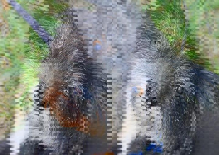 ACA_Sommerfest_09_16_0123.jpg