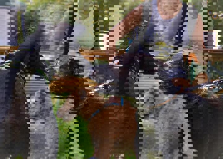 ACA_Sommerfest_09_16_0125.jpg