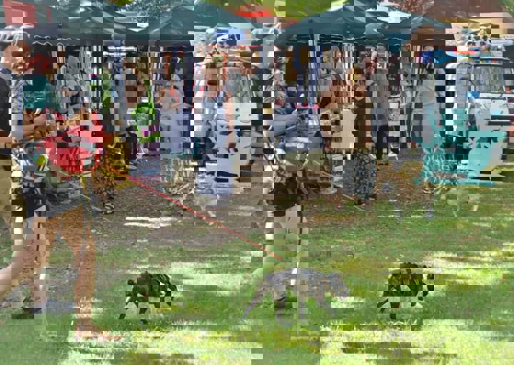 ACA_Sommerfest_09_16_0126.jpg