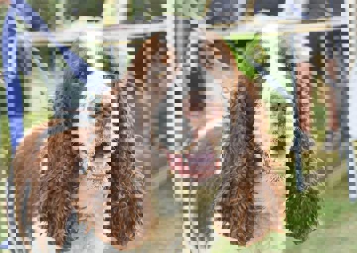 ACA_Sommerfest_09_16_0133.jpg