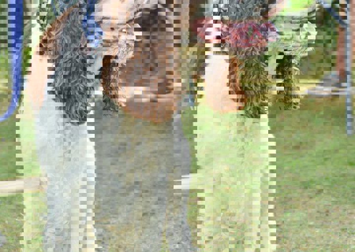 ACA_Sommerfest_09_16_0135.jpg