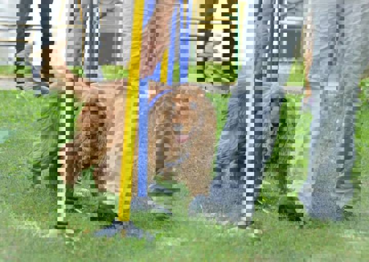 ACA_Sommerfest_09_16_0142.jpg