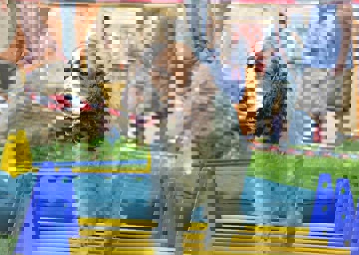 ACA_Sommerfest_09_16_0143.jpg