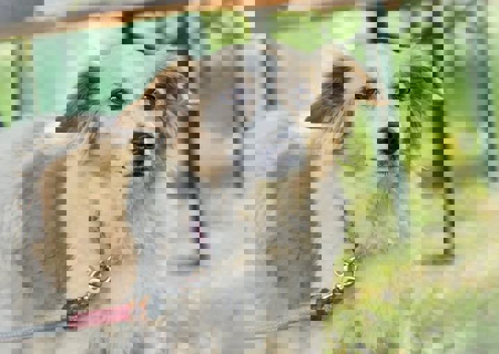 ACA_Sommerfest_09_16_0148.jpg