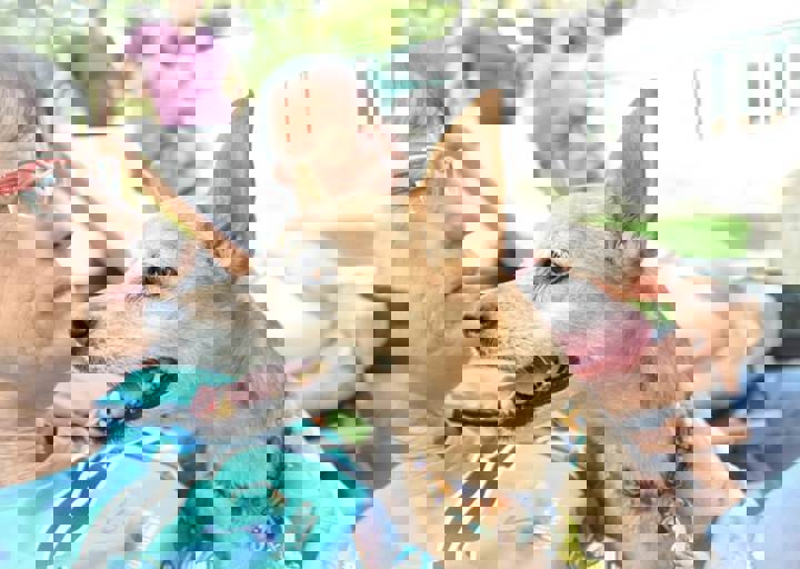 ACA_Sommerfest_09_16_0154.jpg