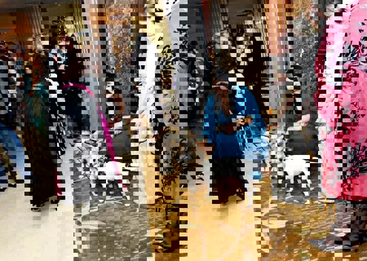 D80_1580.JPG