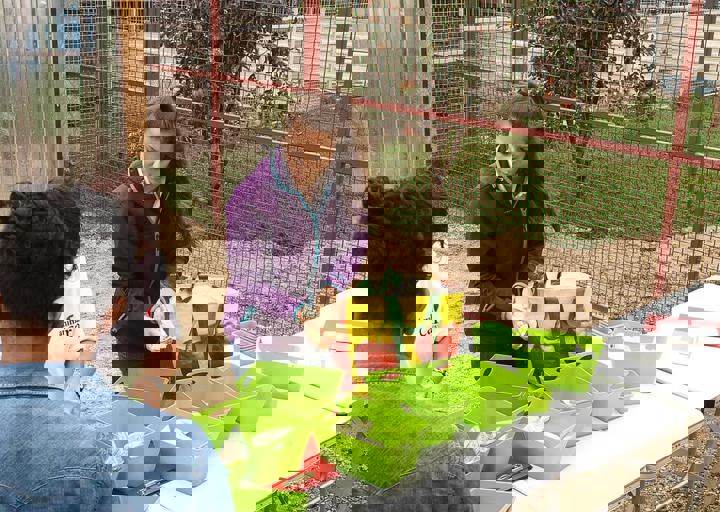 17_08200020.JPG
