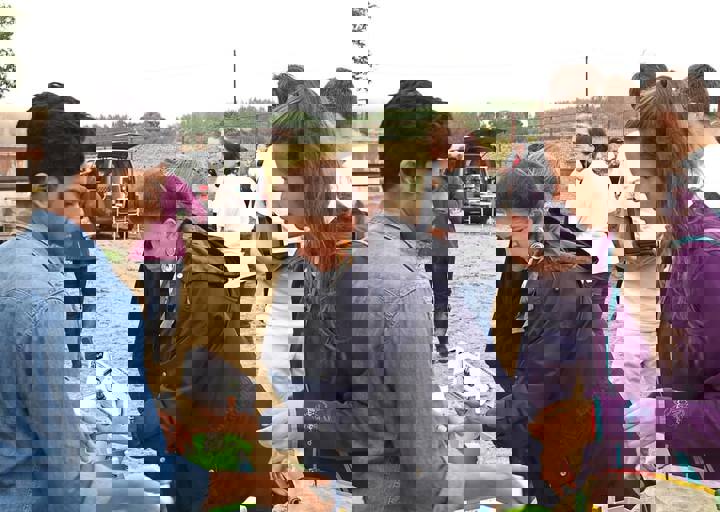 17_08200023.JPG