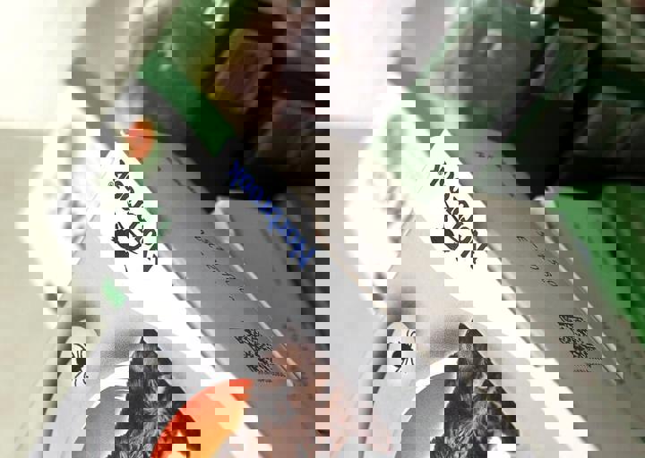 17_08200027.JPG