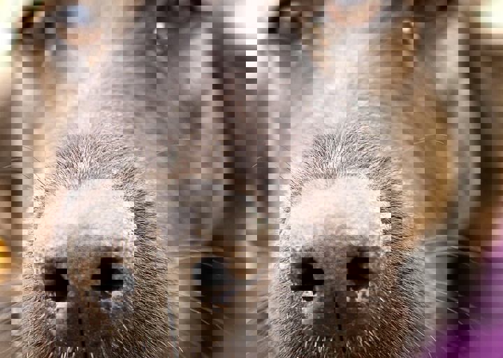 17_08200087.JPG