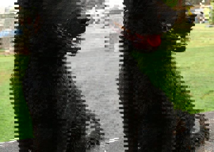 17_08200090.JPG