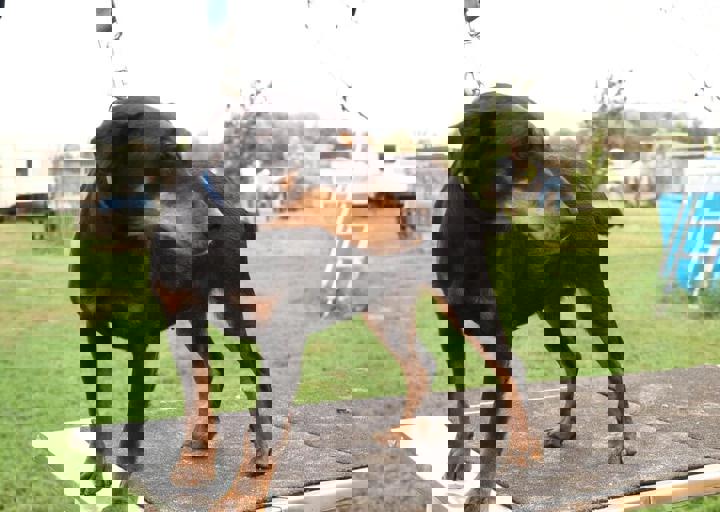 17_08200091.JPG