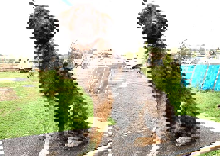 17_08200093.JPG