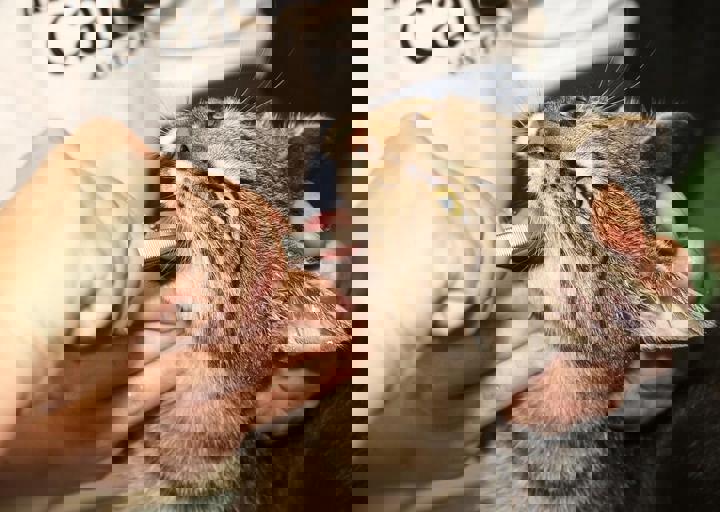 17_08200104.JPG