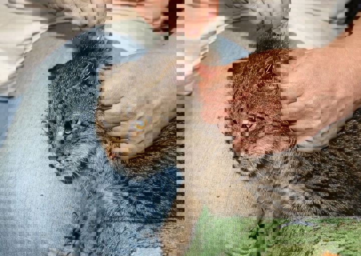 17_08200105.JPG