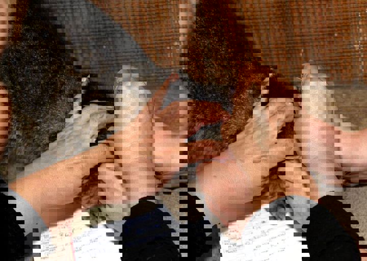 17_08200118.JPG