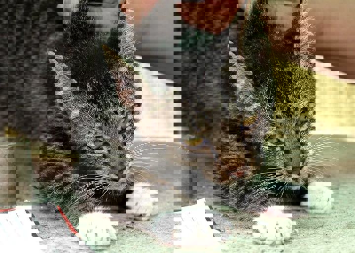 17_08200129.JPG