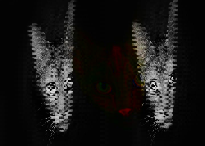 17_08200130.JPG