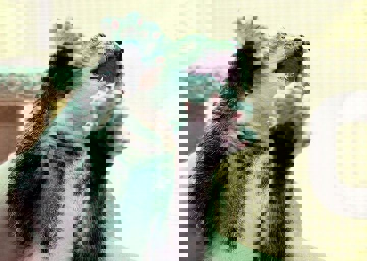 17_08200131.JPG