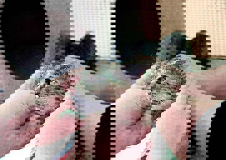 17_08200132.JPG