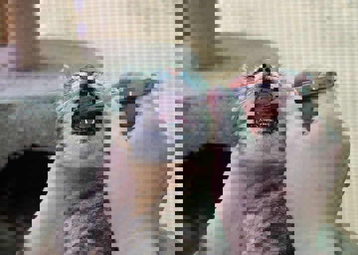 17_08200134.JPG